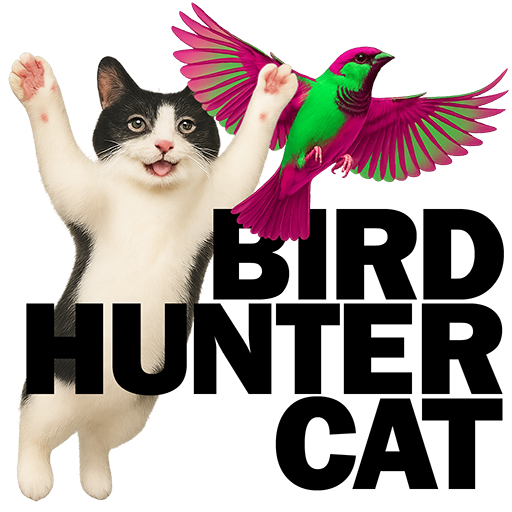 BIRD HUNTER CAT